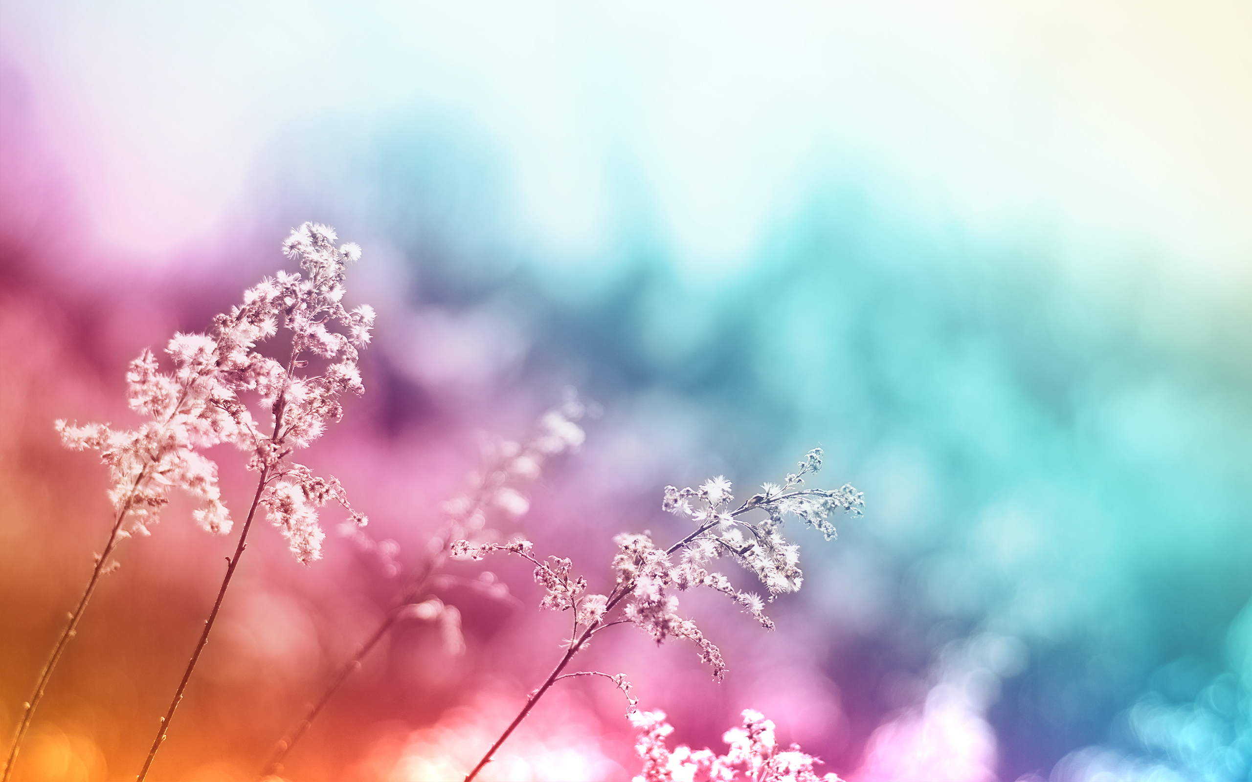 Abstract Colorful Desktop Background Wallpaper