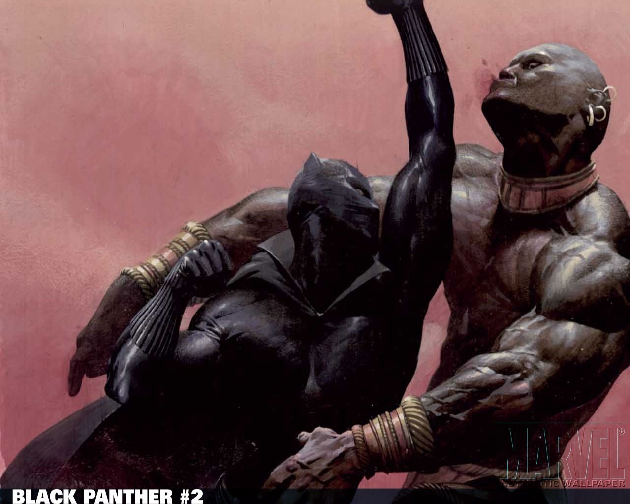 Black Panther Wallpaper Pictures Photos And