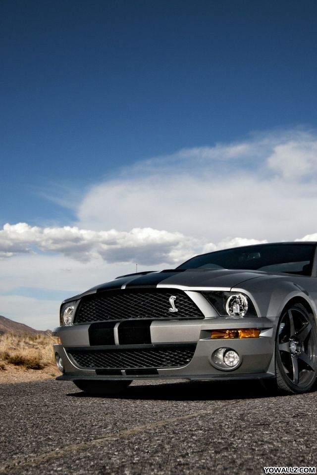 shelby iphone wallpaper
