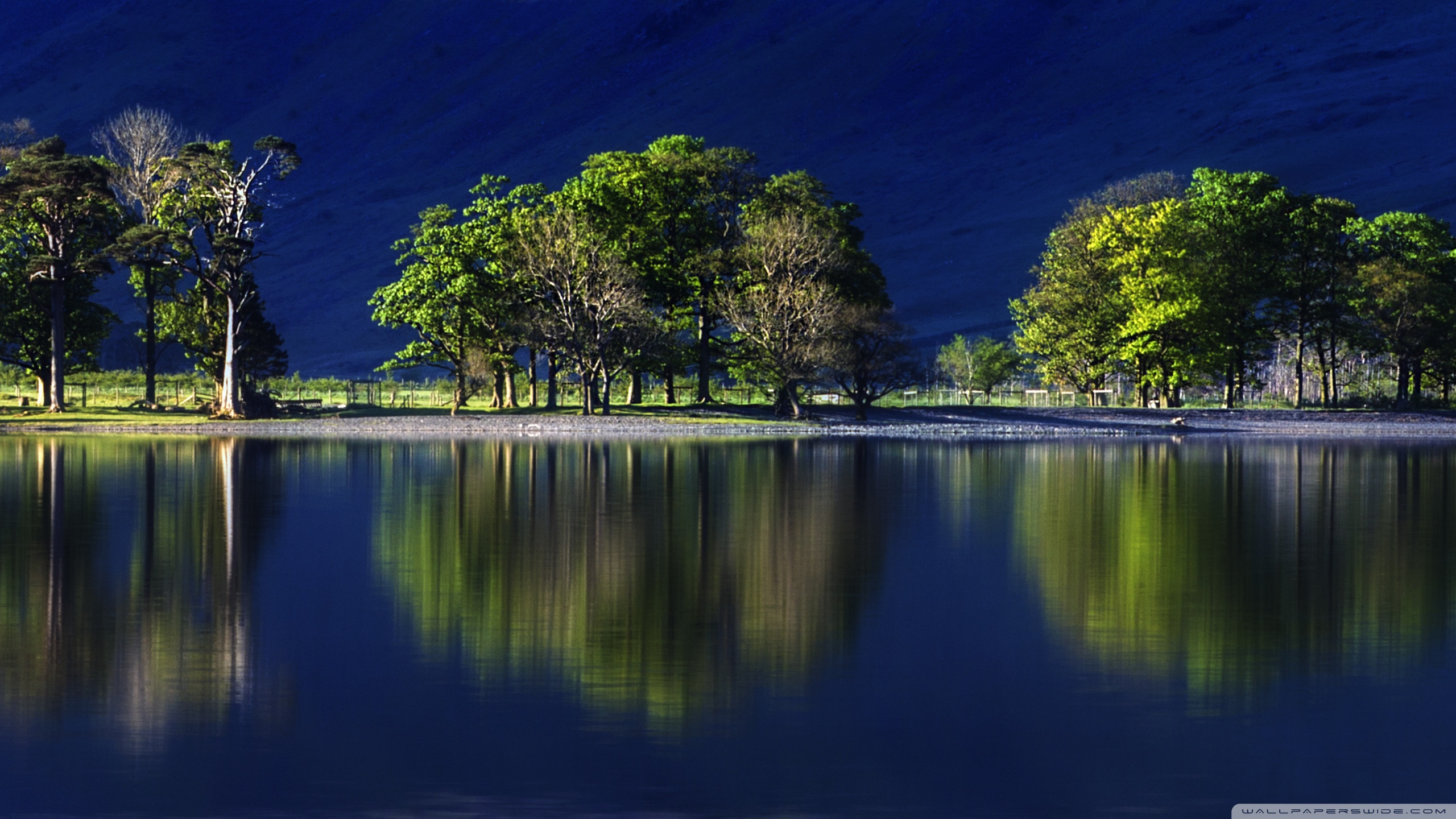 Beatiful Reflection Blue Water Green Trees 4k HD Desktop