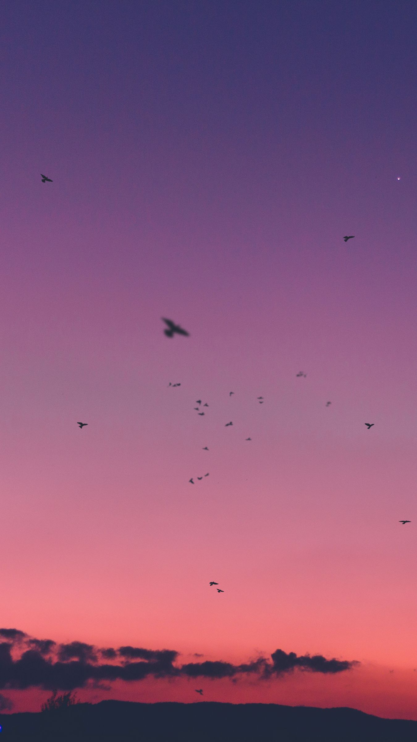 Wallpaper Sky Sunset Birds iPhone 6s