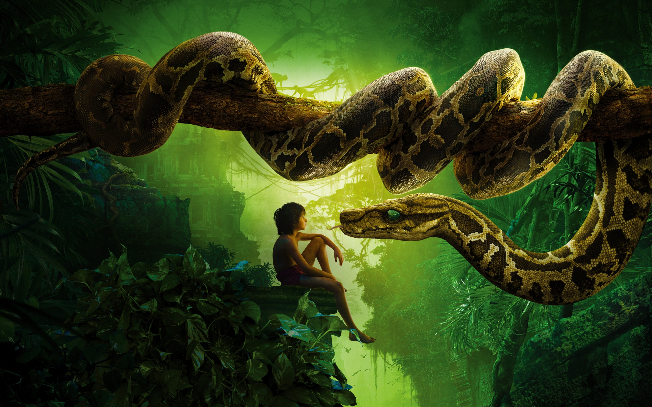 Jungle Book Snake Kaa Mowgli Wallpaper In Jpg Format For