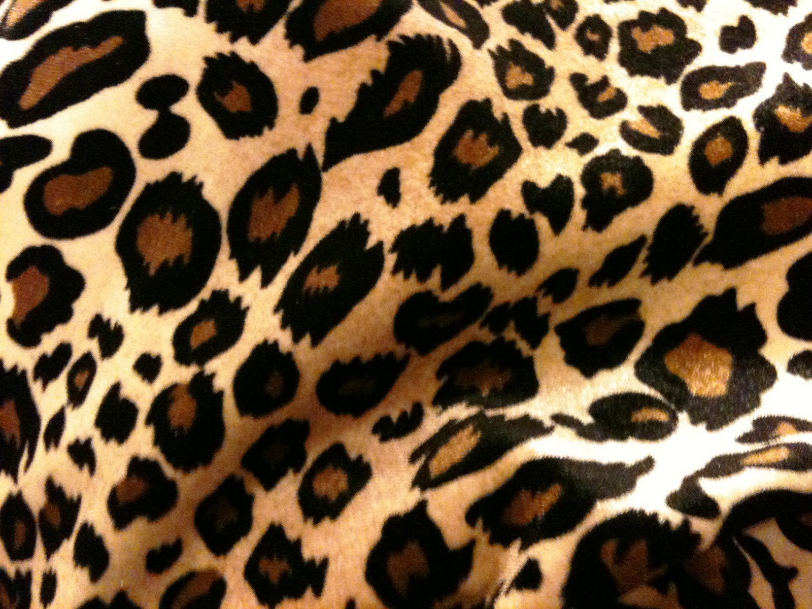Displaying Image For Cute Cheetah Print Background