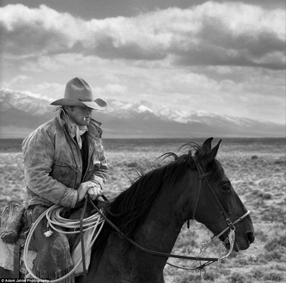 The Last Cowboys Stunning Black And White Image Show A Rugged
