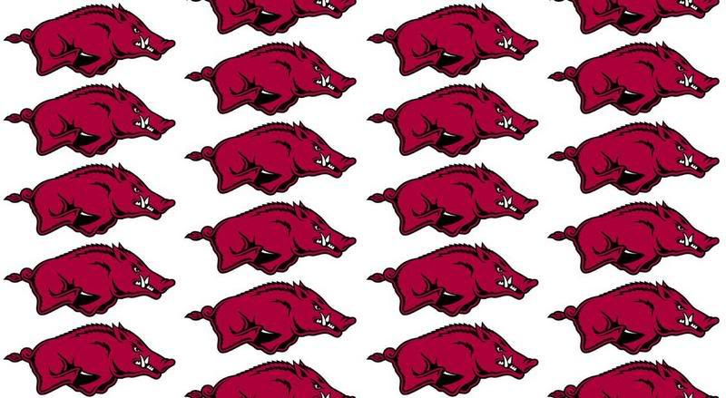 Razorback Computer Wallpaper - WallpaperSafari