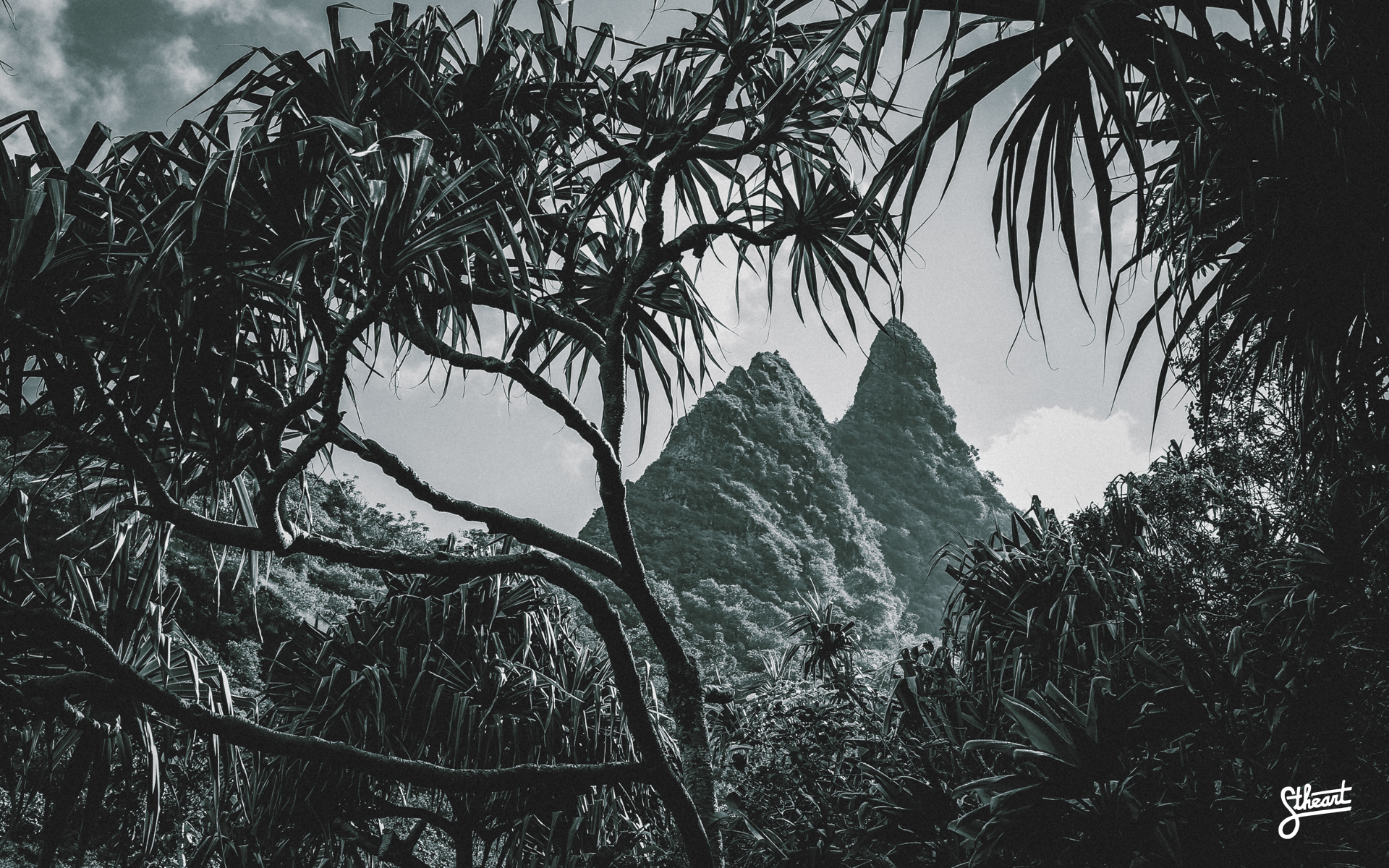Kauai Hawaii Wallpaper Island Edition