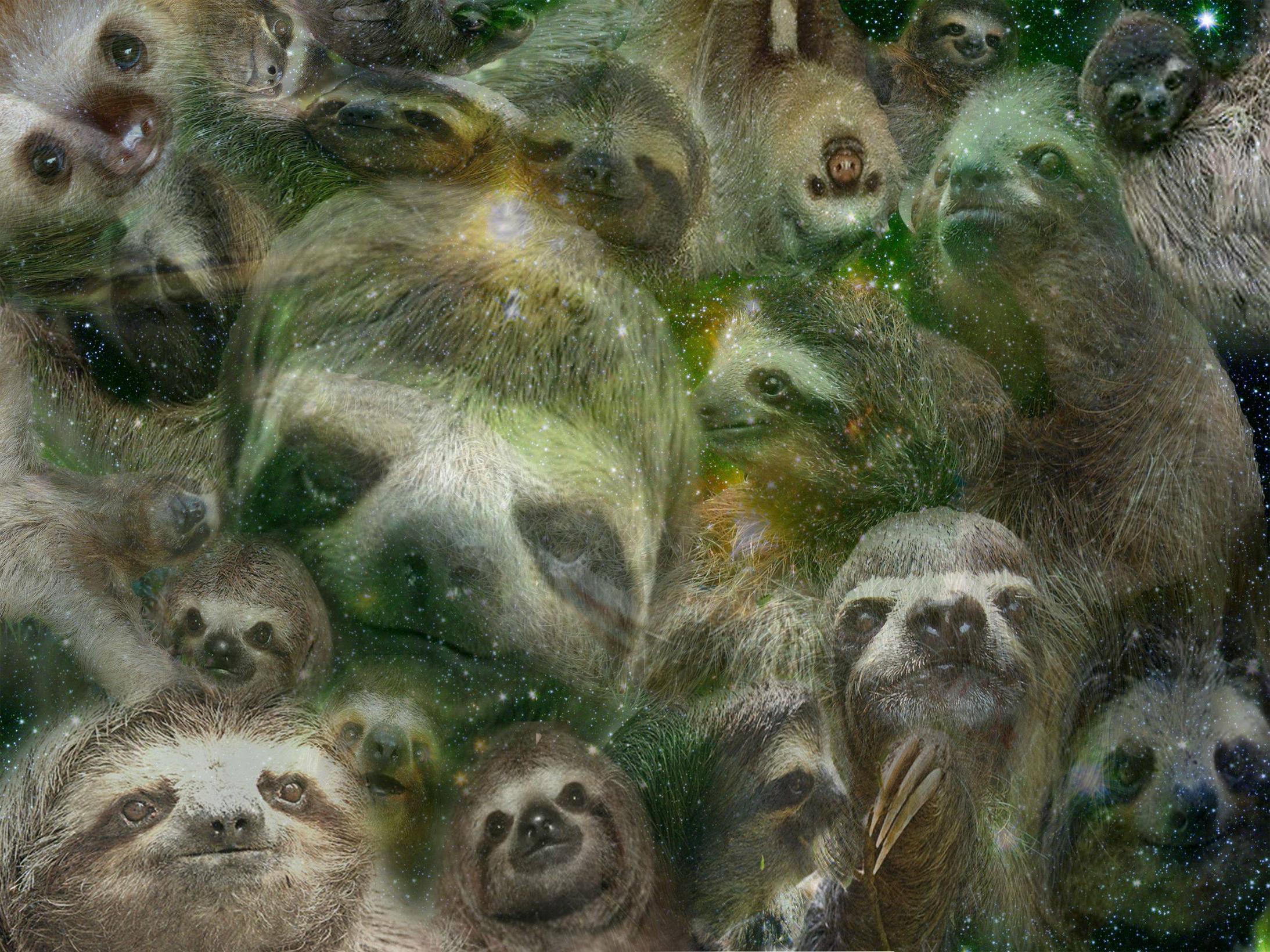 My Dank Background Sloths