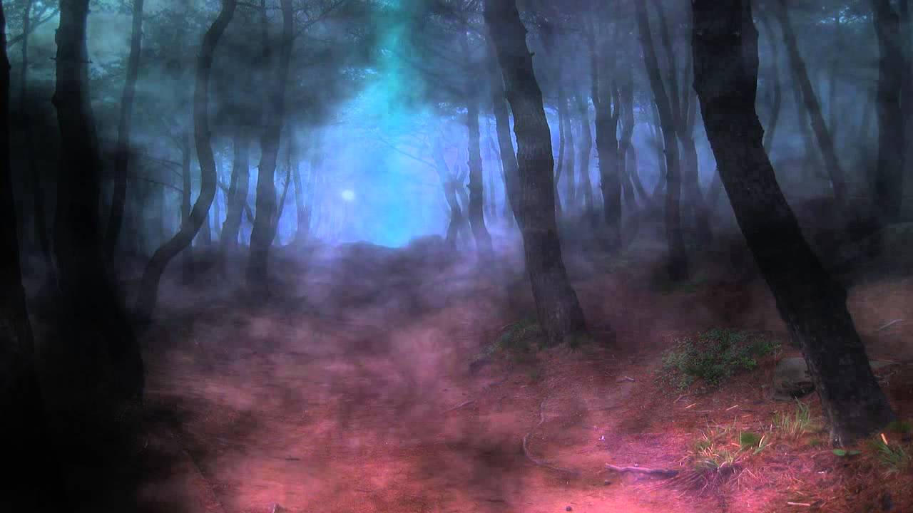 Dark Forest Video Background 1280x720