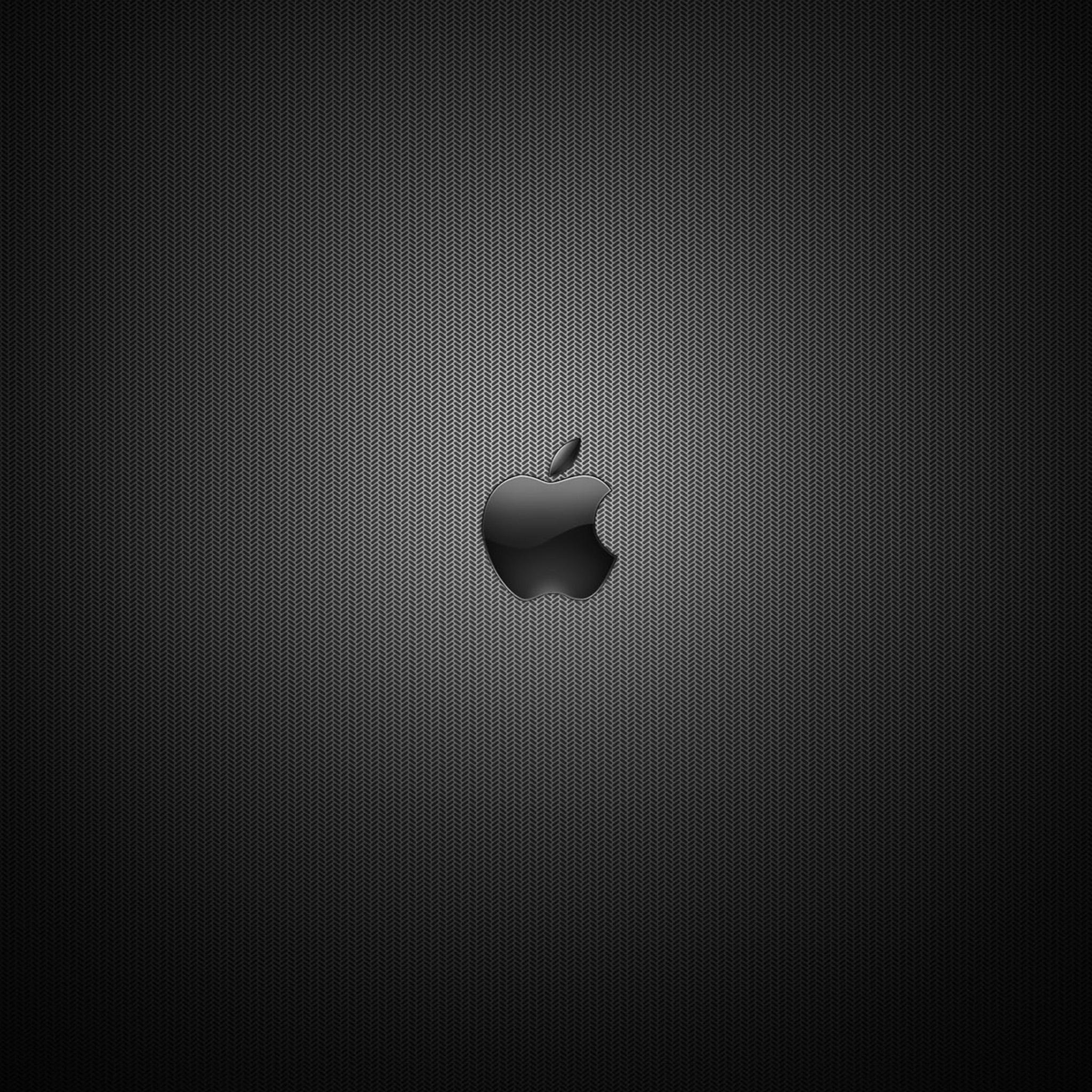 Shades Of Gray Apple Logo iPad Air Wallpaper