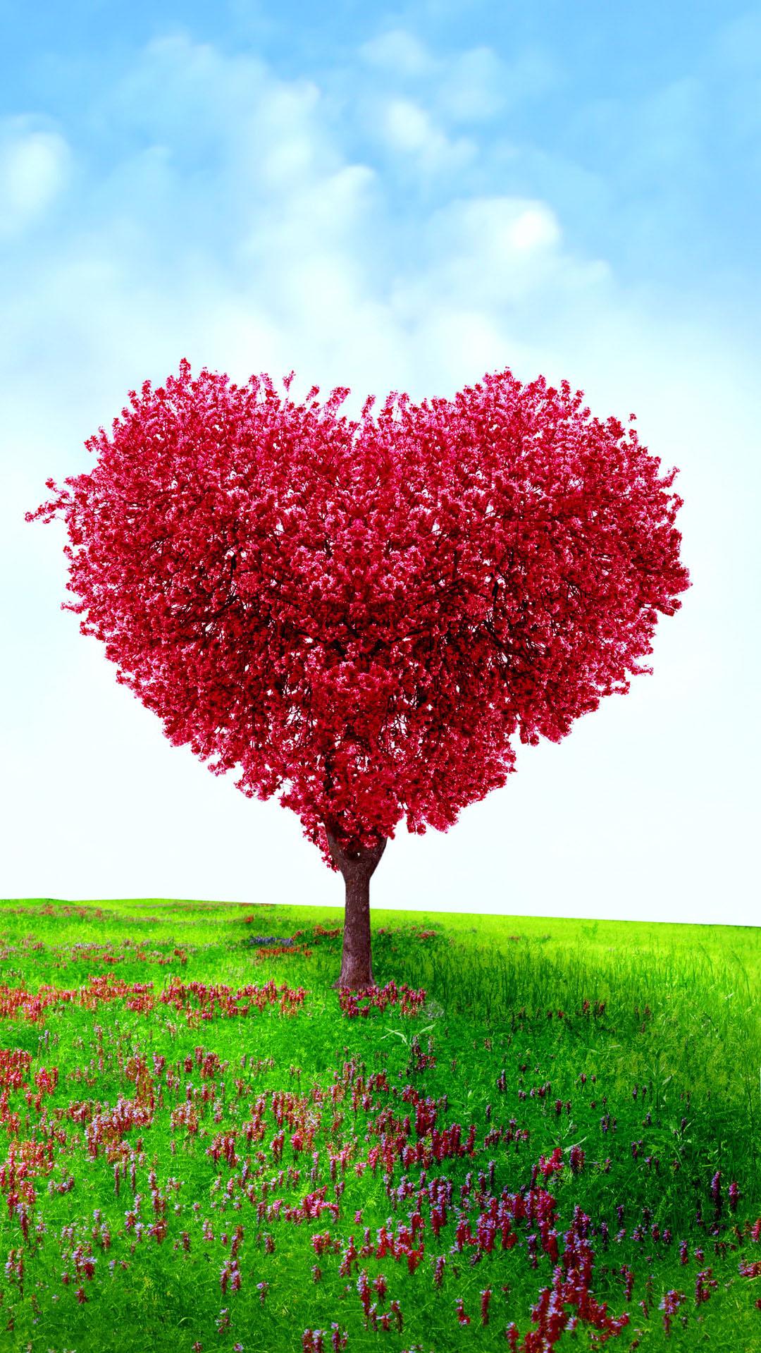 Heart Shaped Tree Valentines Day Love Android