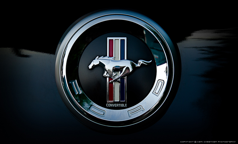 Ford Mustang Logo by Shelagnoa