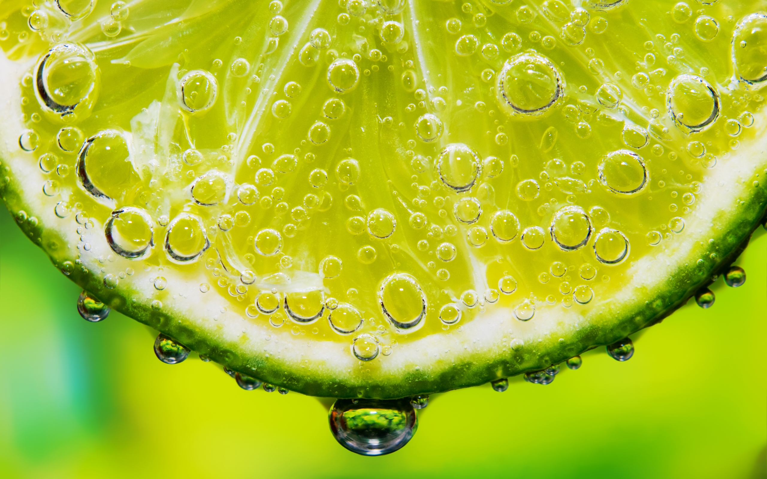 Zesty Lime Delight Wallpaper