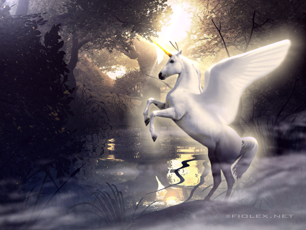  unicorns cool hd wallpaper 1280x960 kb jpg white unicorns