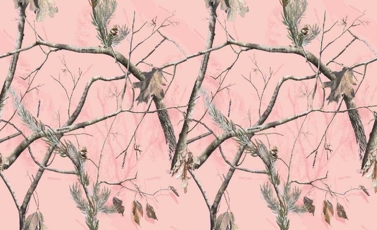  Pink Realtree Camo phone wallpaper by katelin 2013 745x455