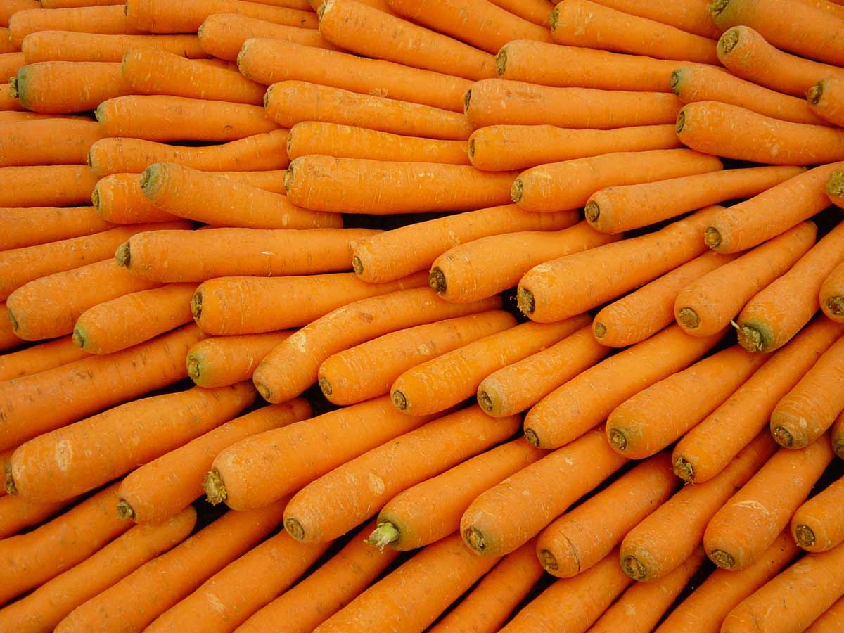 Carrot Puter Wallpaper Desktop Background
