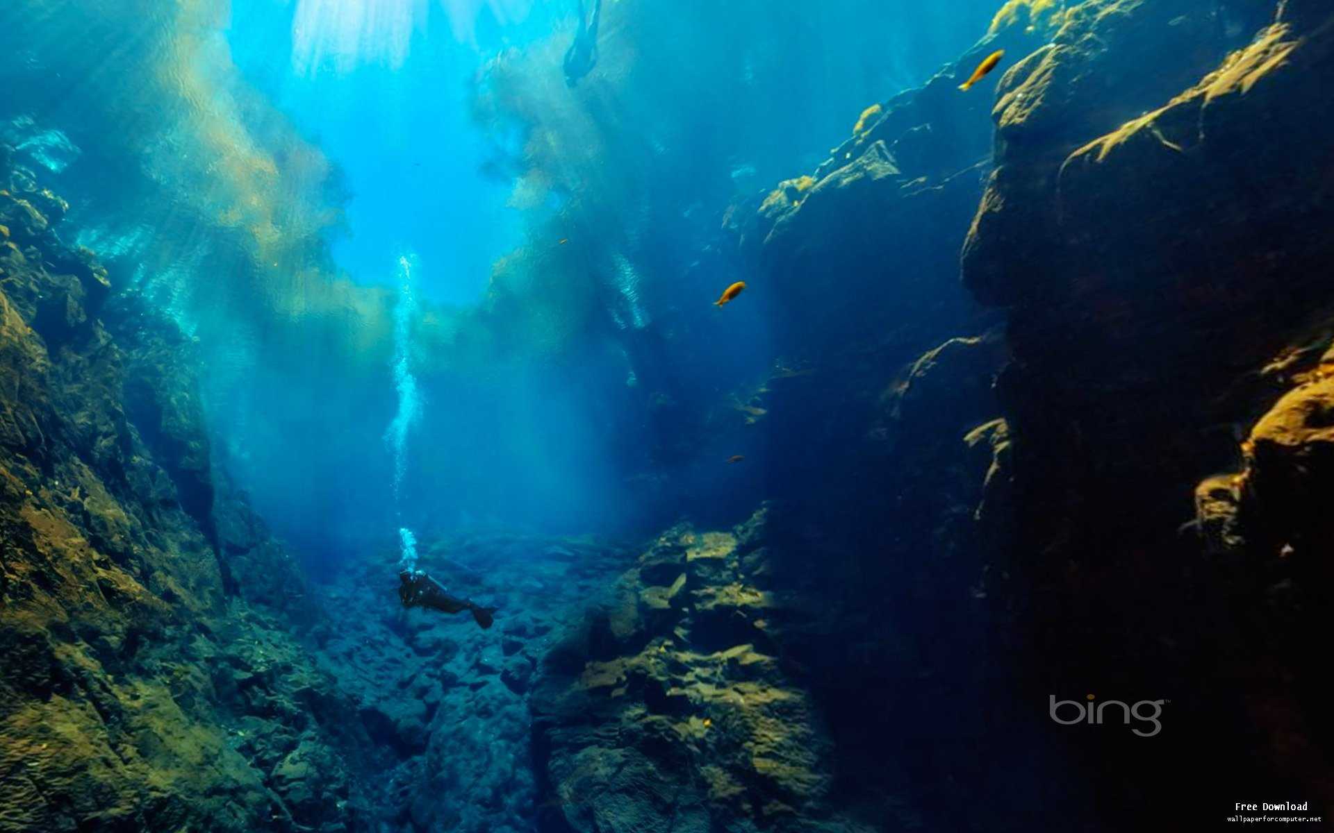 Deep Sea Explorers Bing Theme Widescreen Wallpaper