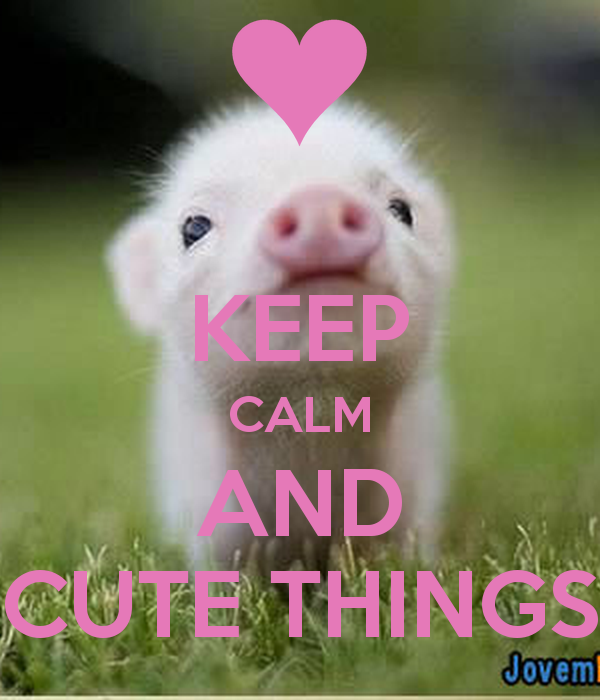 KEEP CALM AND CUTE THINGS   KEEP CALM AND CARRY ON Image Generator