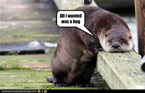 Funny Otter Pics Animal