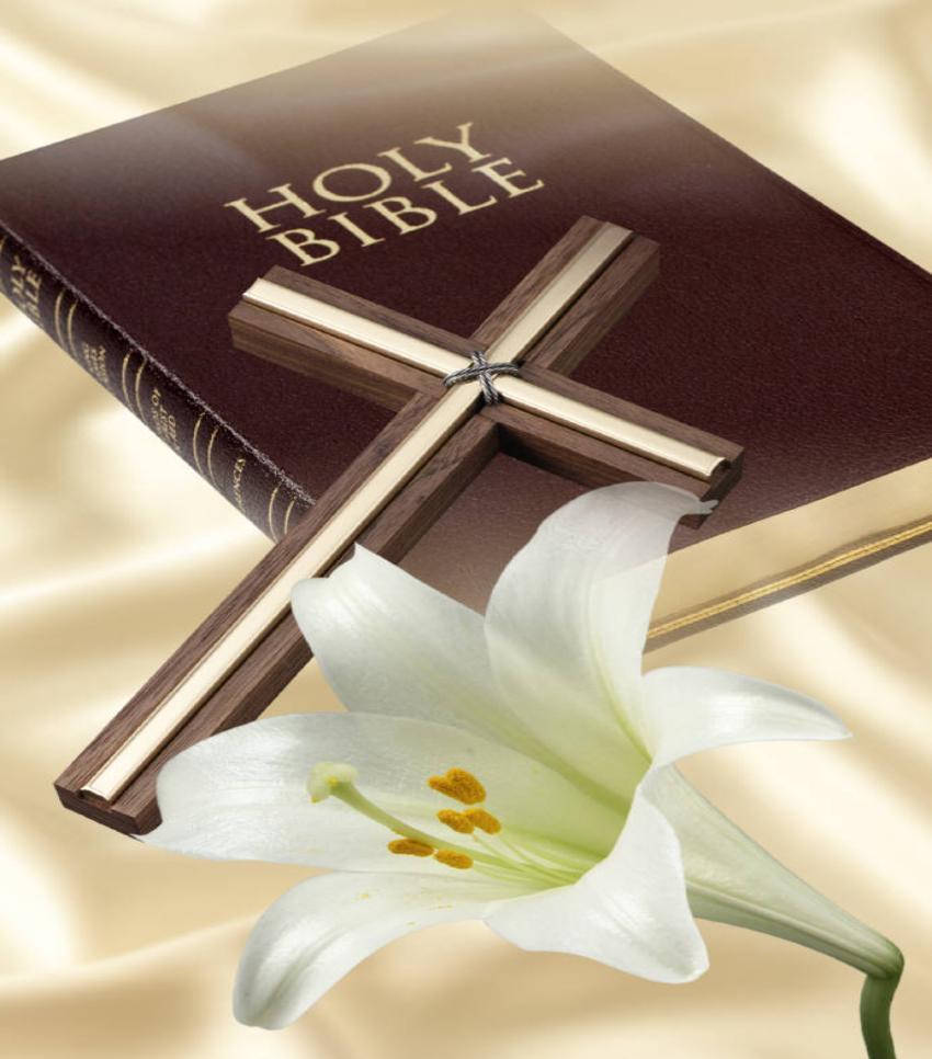Free download Holy Bible Wallpapers [850x967] for your Desktop