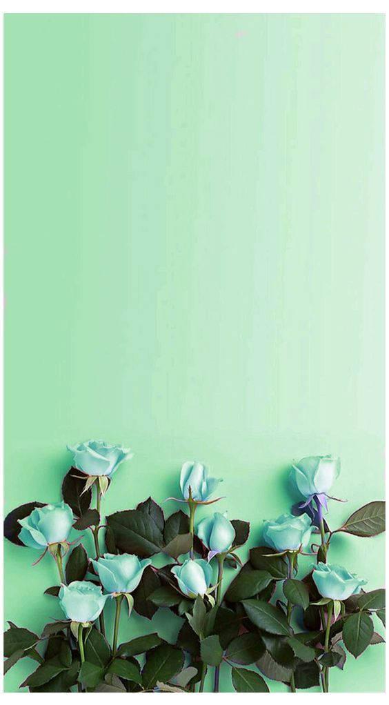 Download Mint Green Aesthetic Roses Wallpaper