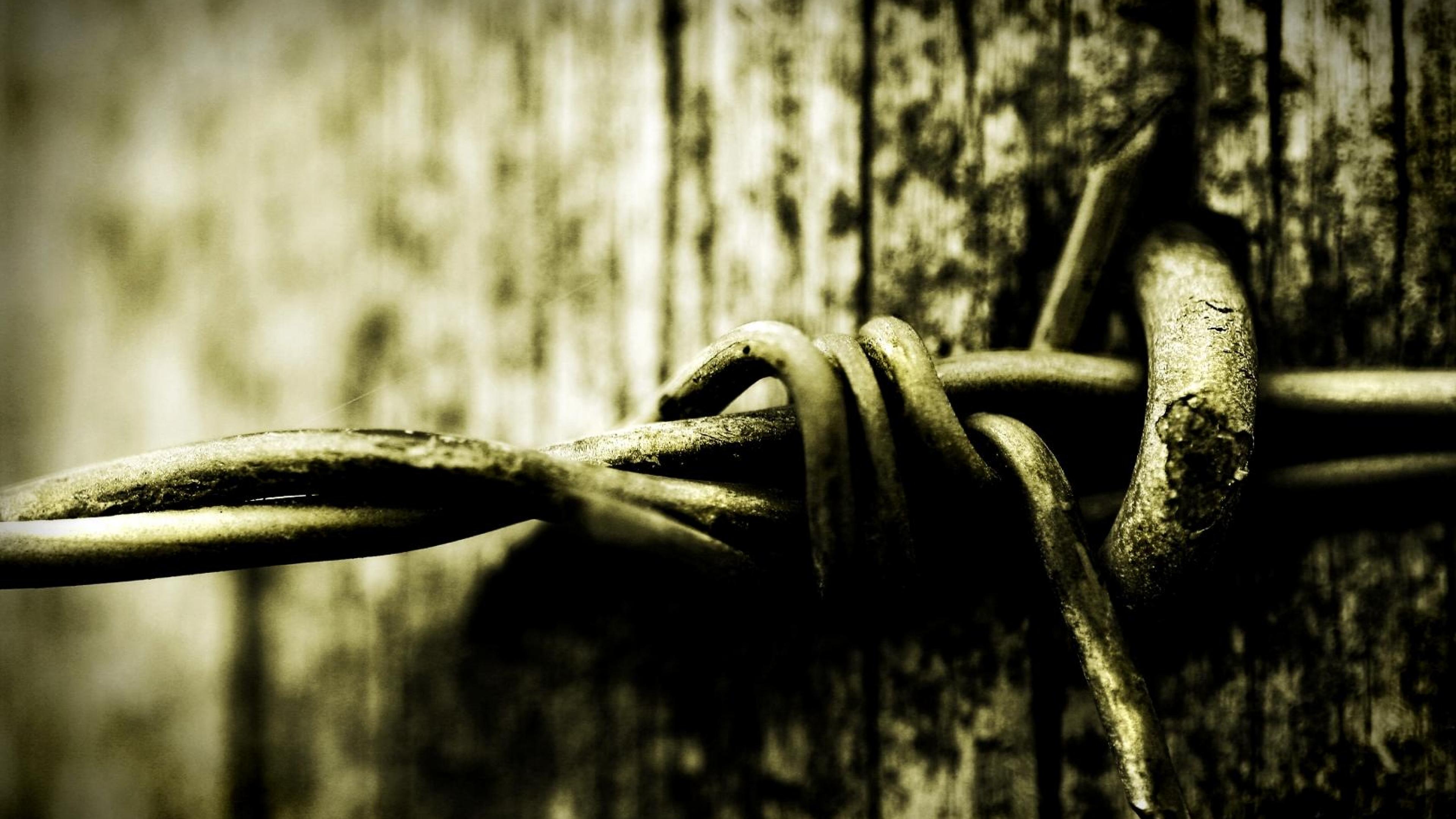 Barbed Wire HD Wallpaper General