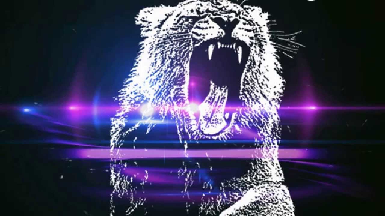 Free download Martin Garrix Animals Slowed Down [1280x720] for your  Desktop, Mobile & Tablet | Explore 93+ Martin Garrix DJ Wallpapers | Dj  Mixer Wallpaper, Dj Wallpapers, Dj Backgrounds