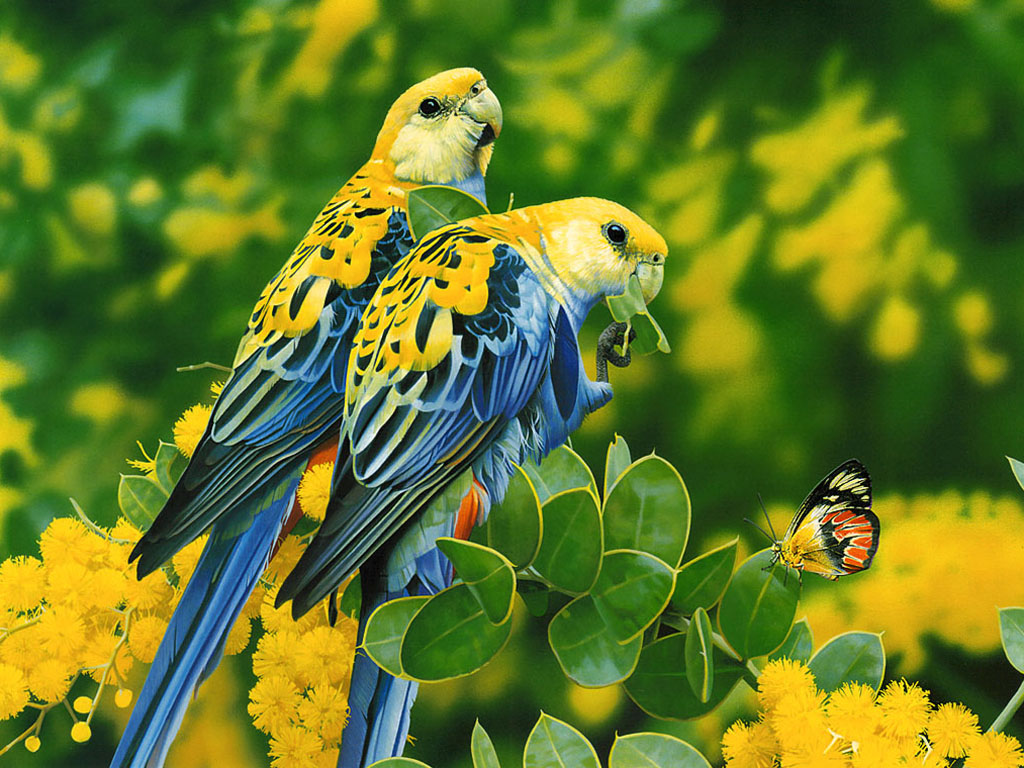 Two Vibrant Parrots Perched on a Branch with a Butterfly