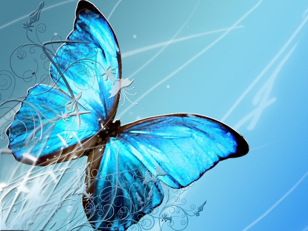 Blue Butterfly Art Wallpaper Desktop