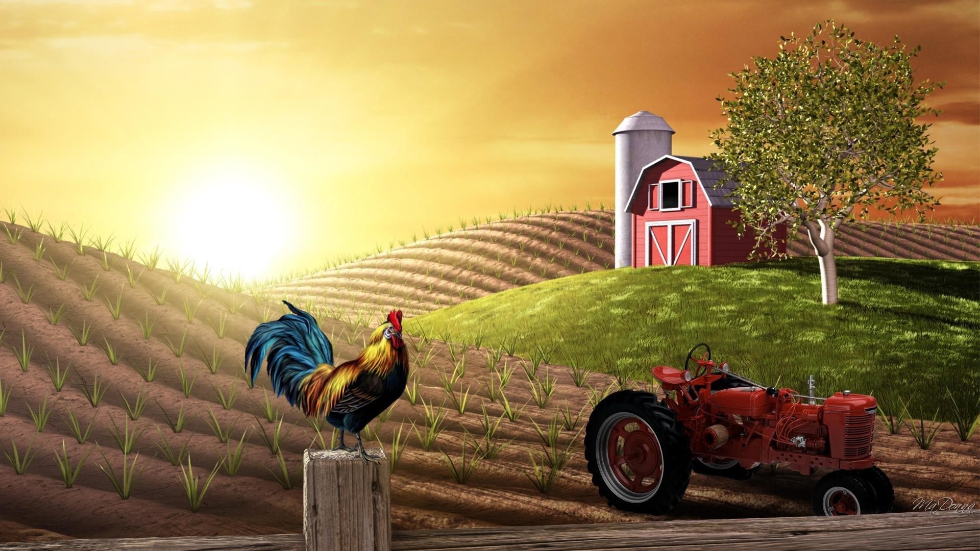 Farm Wallpapers on