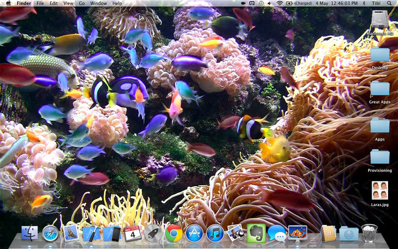 Desktop Aquarium Relaxing Live Wallpaper Background For Mac