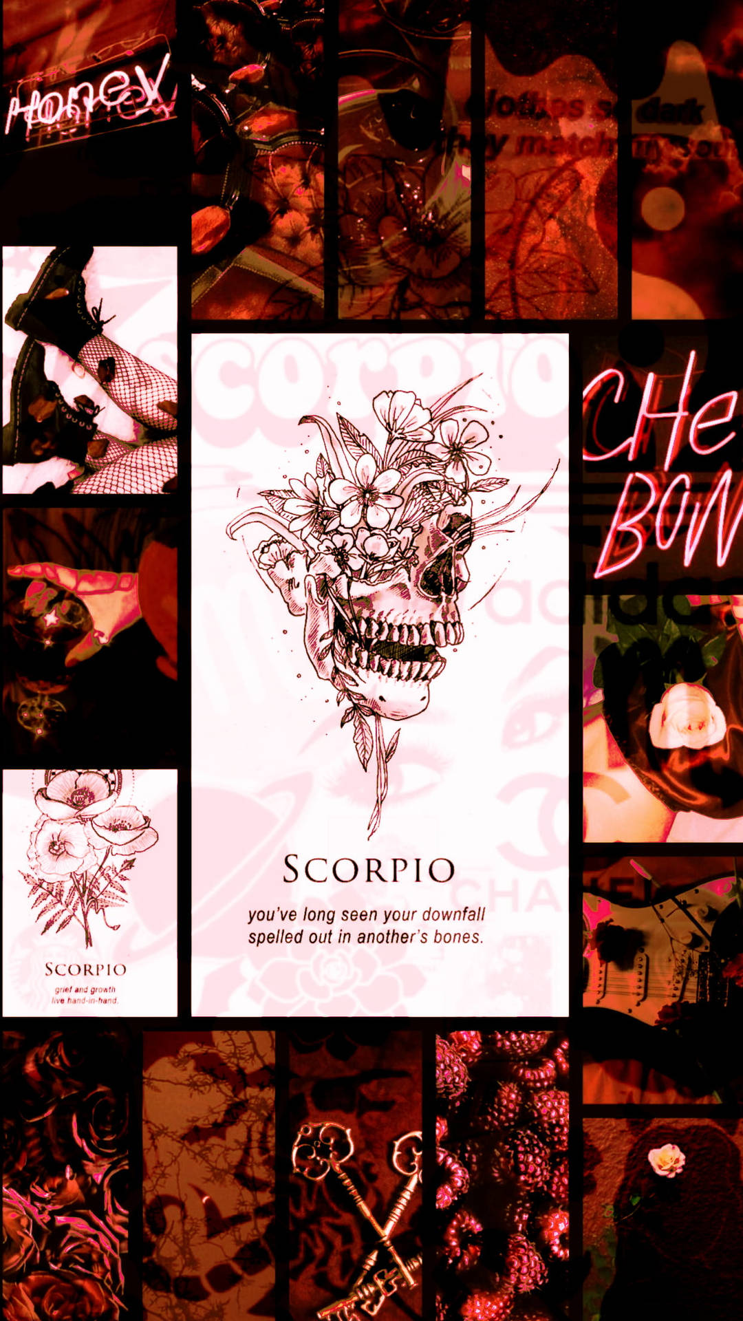 Top Scorpio Aesthetic Wallpaper Full HD 4k To Use