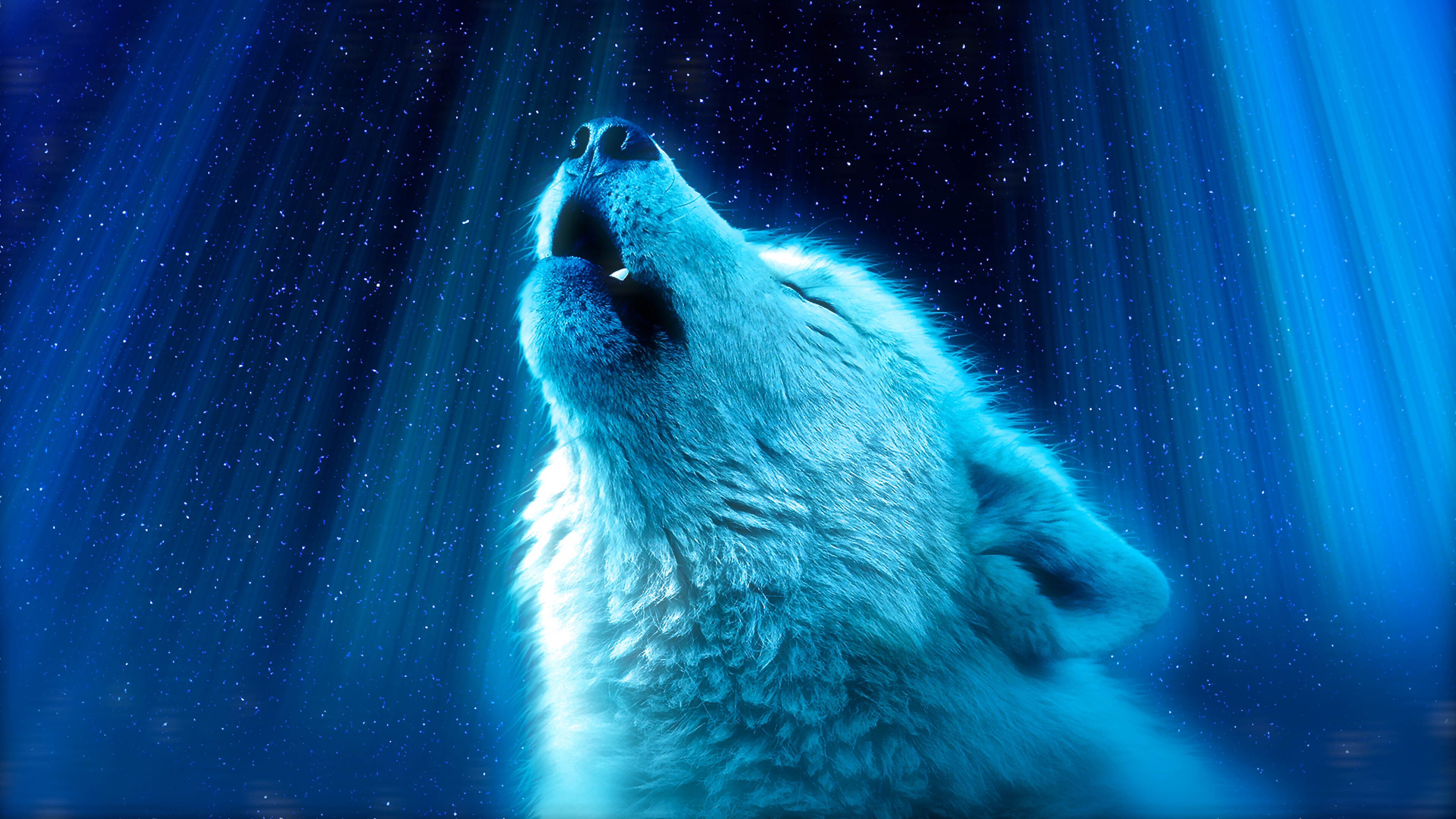 White Wolf Howling 8k Wallpaper
