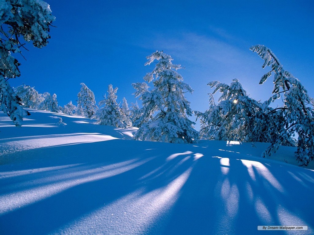 Winter Nature Wallpaper 9177 Hd Wallpapers in Nature   Imagescicom