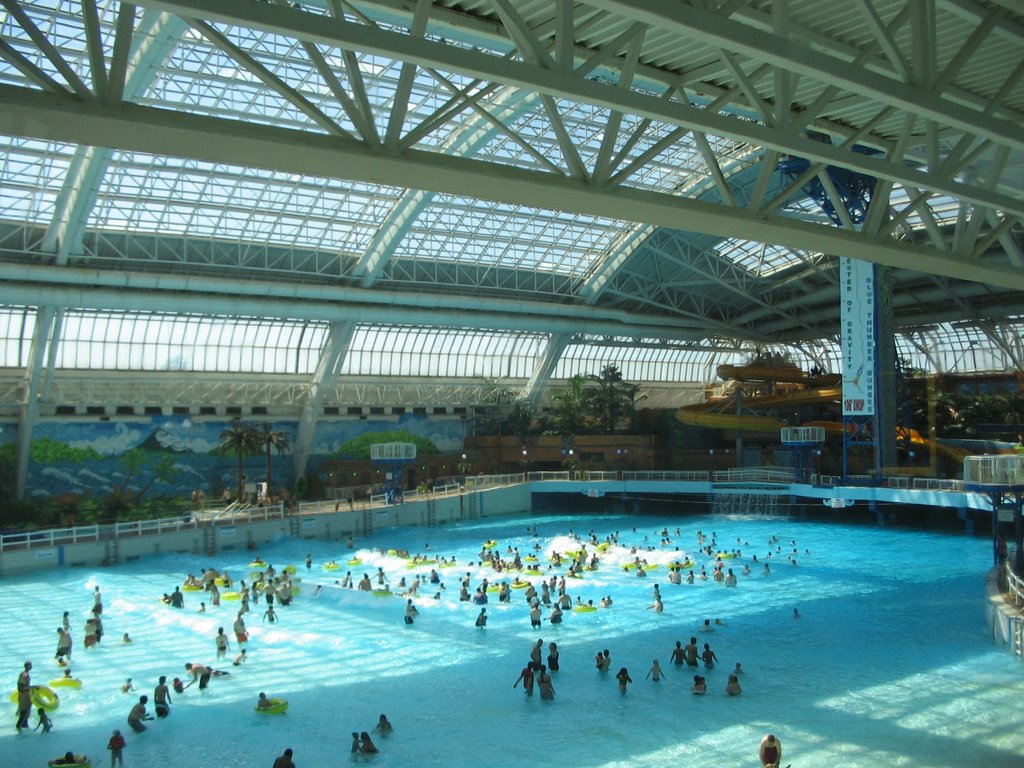 Free Download West Edmonton Mall Indoor Pool Picture Of West Edmonton Mall 1024x768 For Your Desktop Mobile Tablet Explore 49 Wallpaper Stores In Edmonton Walls Alive Wallpaper Walls Alive