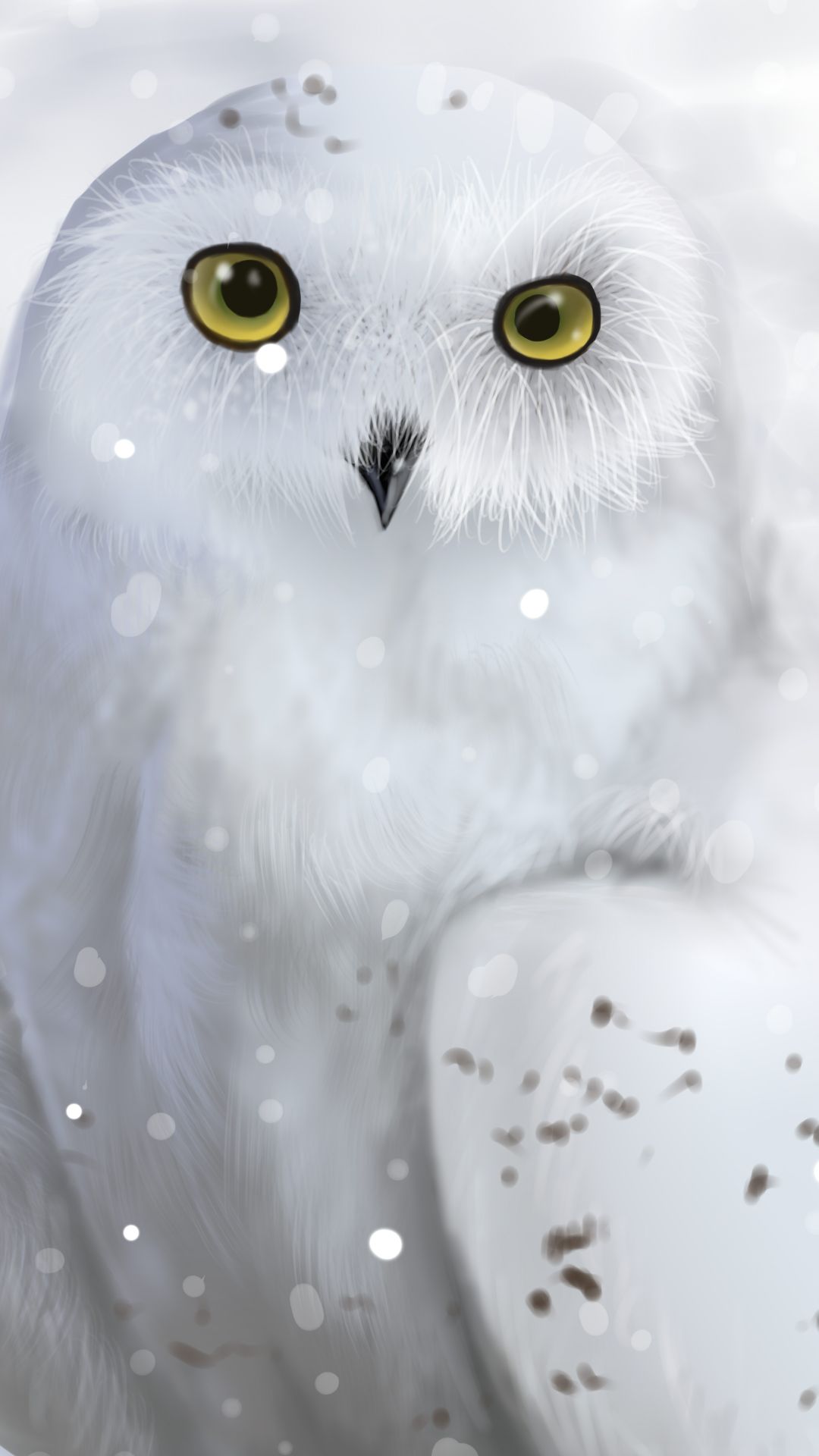 Snowy Owl Mobile Wallpaper Cute Owls