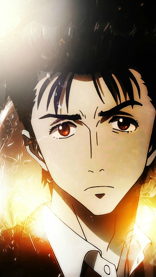 Anime Parasyte The Maxim