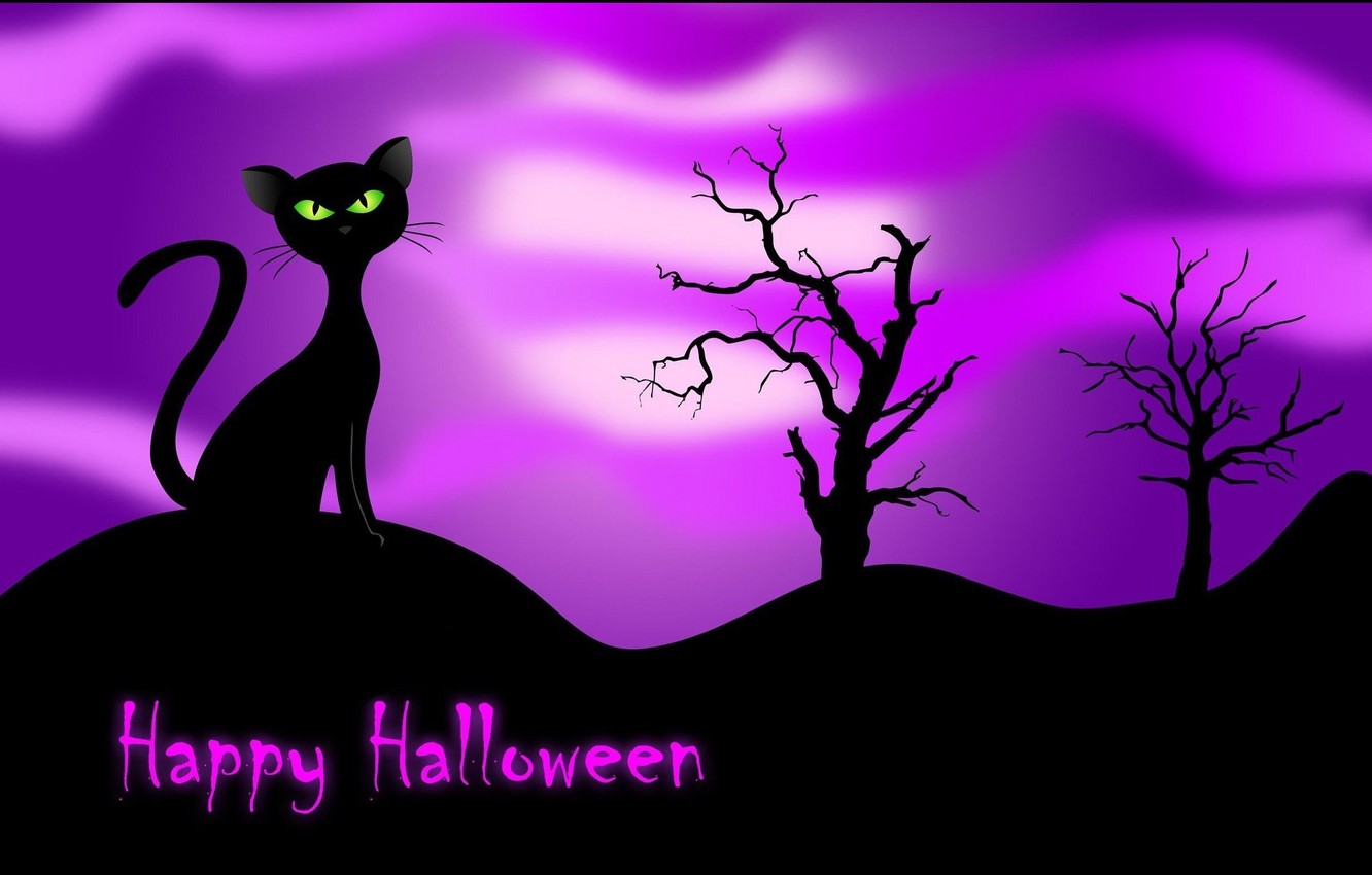 Wallpaper Cat Night Black Happy Halloween Image For Desktop