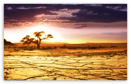 African Landscape HD Desktop Wallpaper High Definition Fullscreen