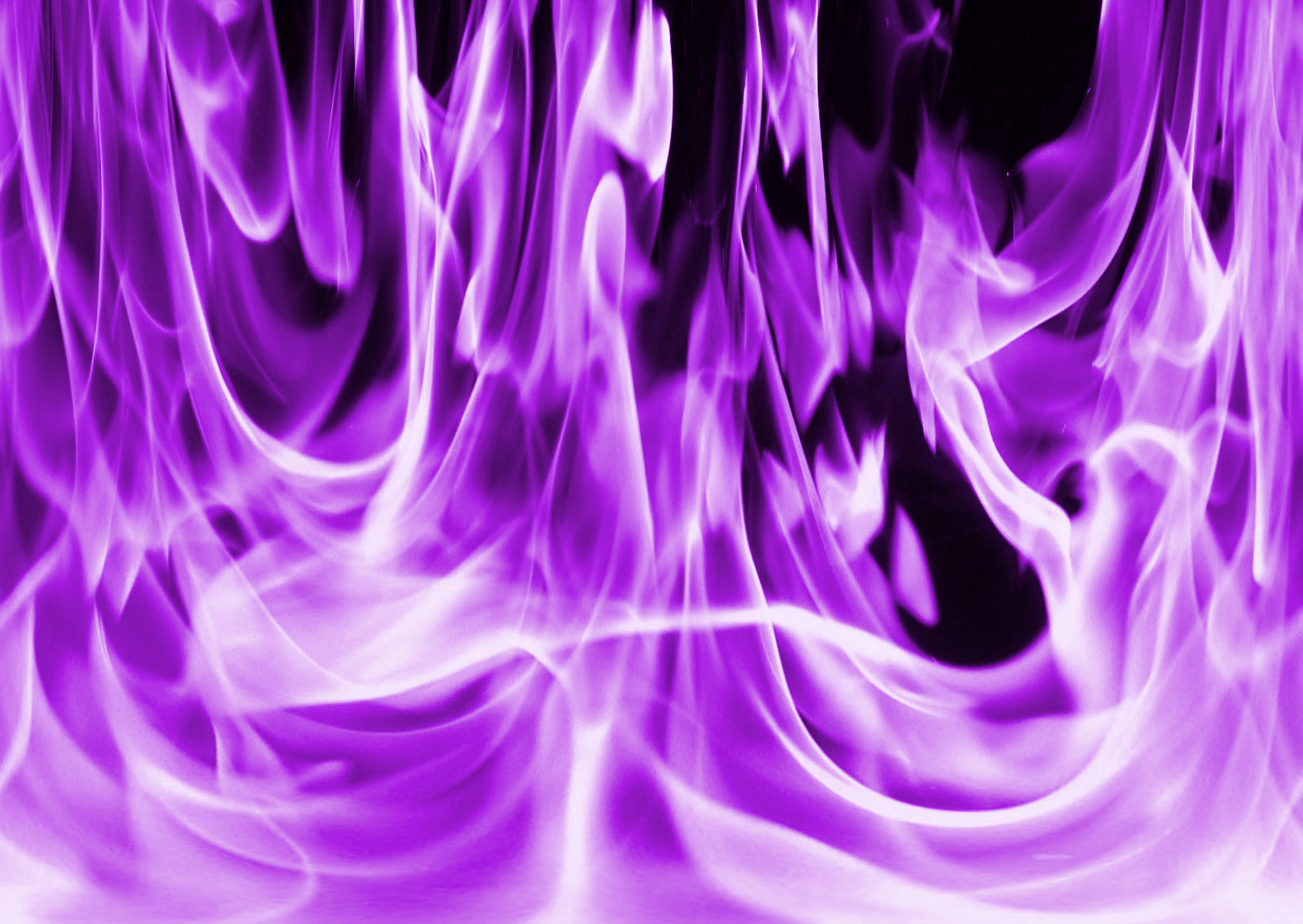 purple flame 1