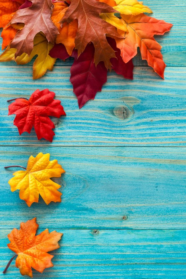 Autumn leaves   Nature iPhone wallpapers mobile9 iPhone 8