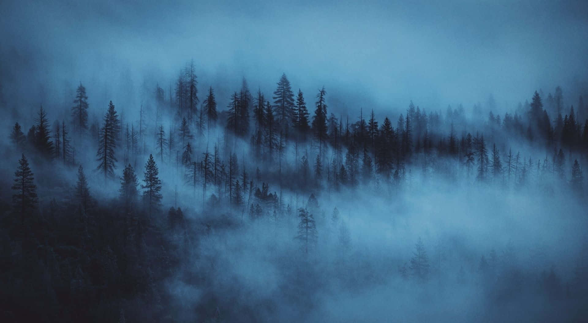 Light Blue Laptop Wallpaper