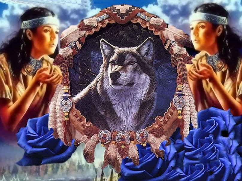 Wolf Dreamcatcher Wallpaper