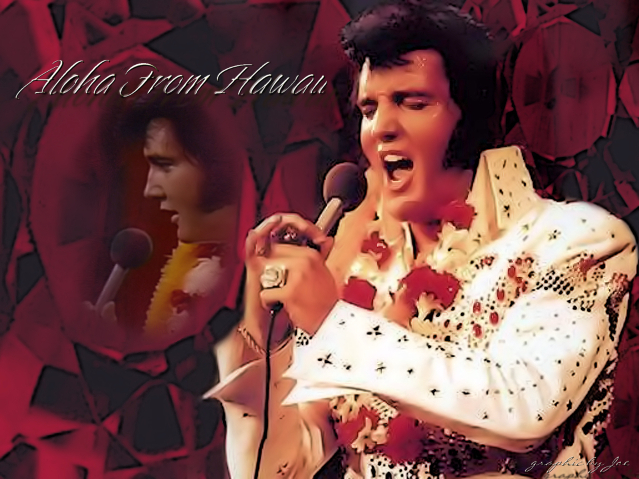 Young Elvis Presley Wallpaper Image Amp Pictures Becuo
