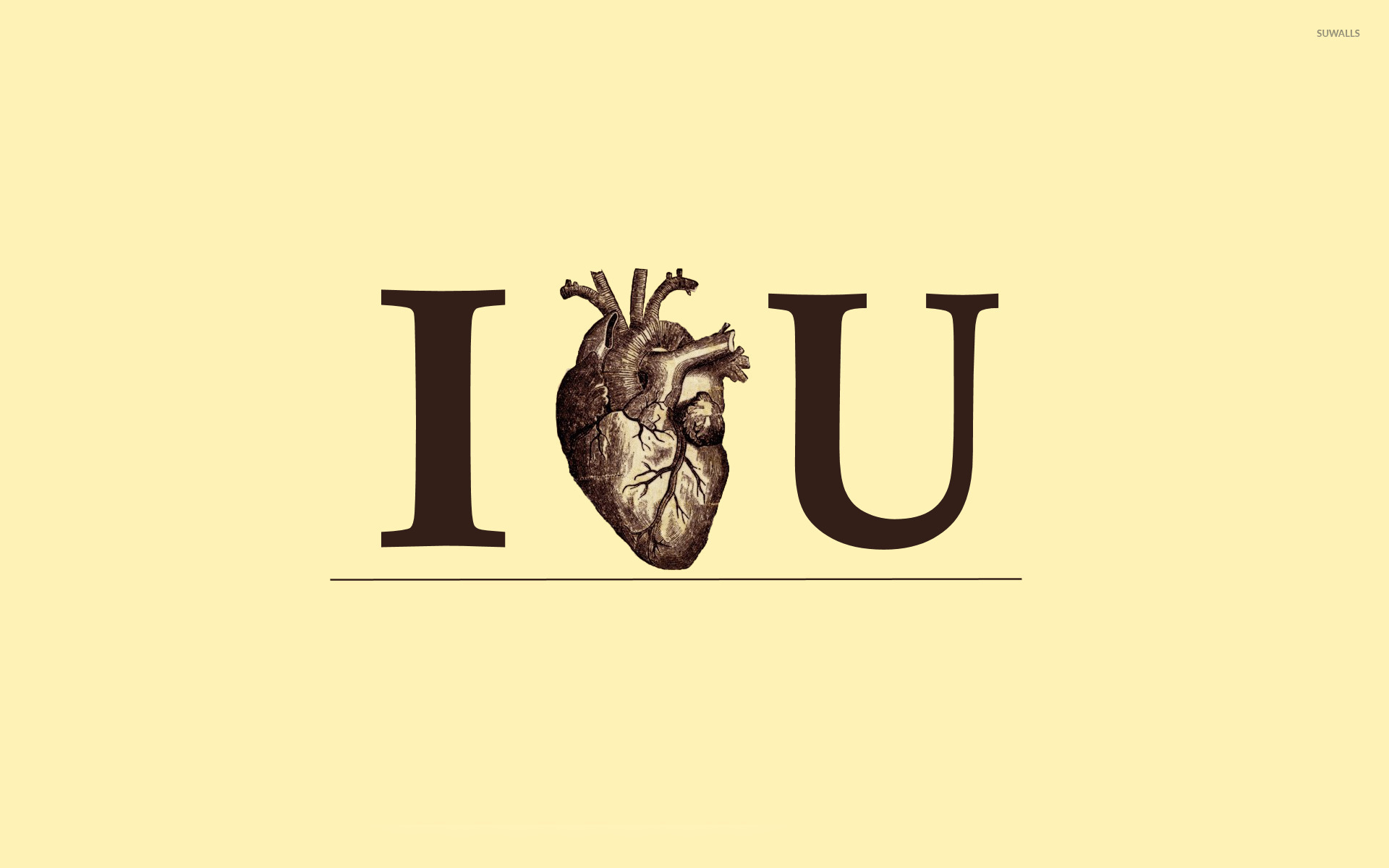 Love You Wallpaper Typography