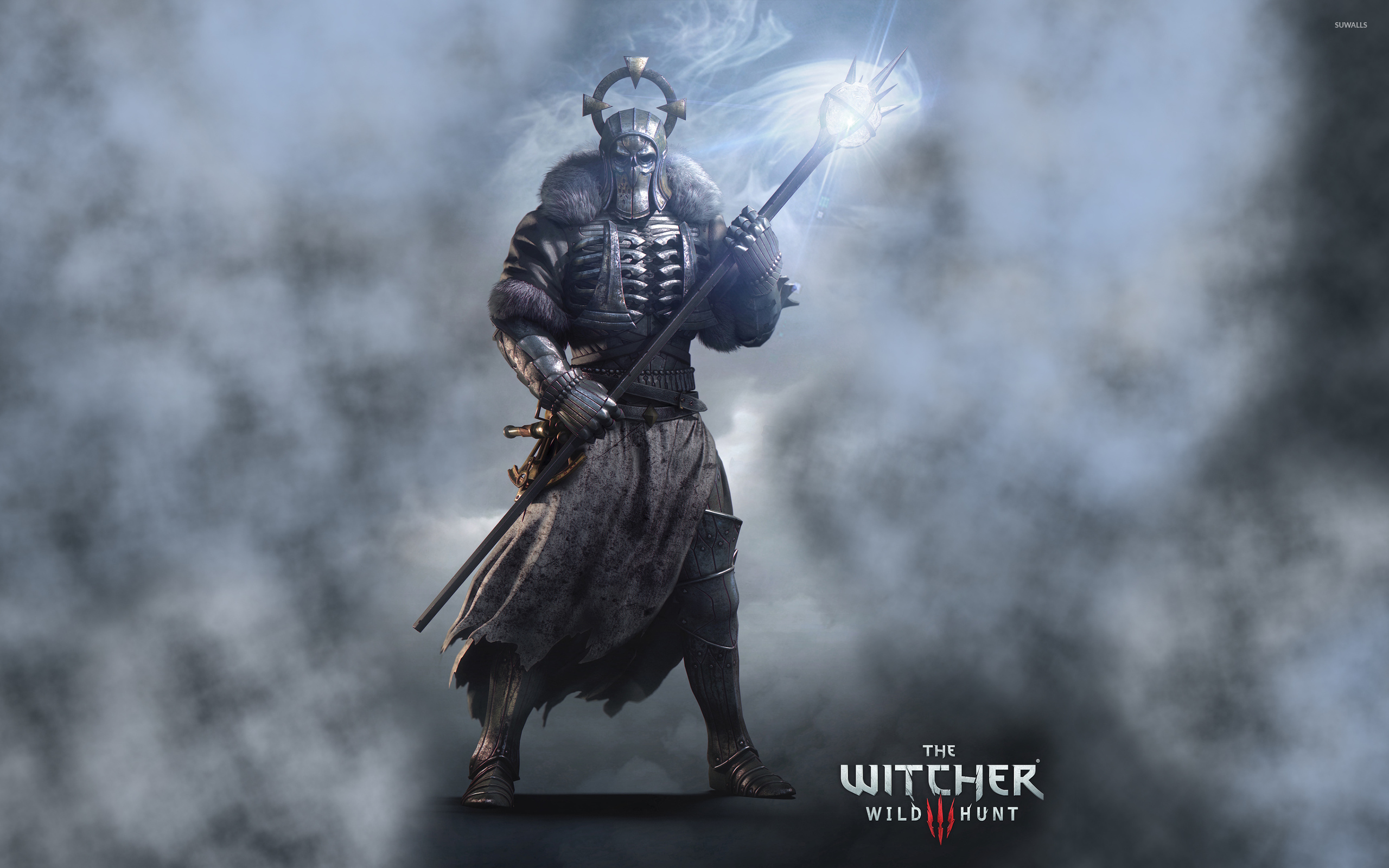    The Witcher 3 Wild Hunt wallpaper   Game wallpapers   49468 2560x1600