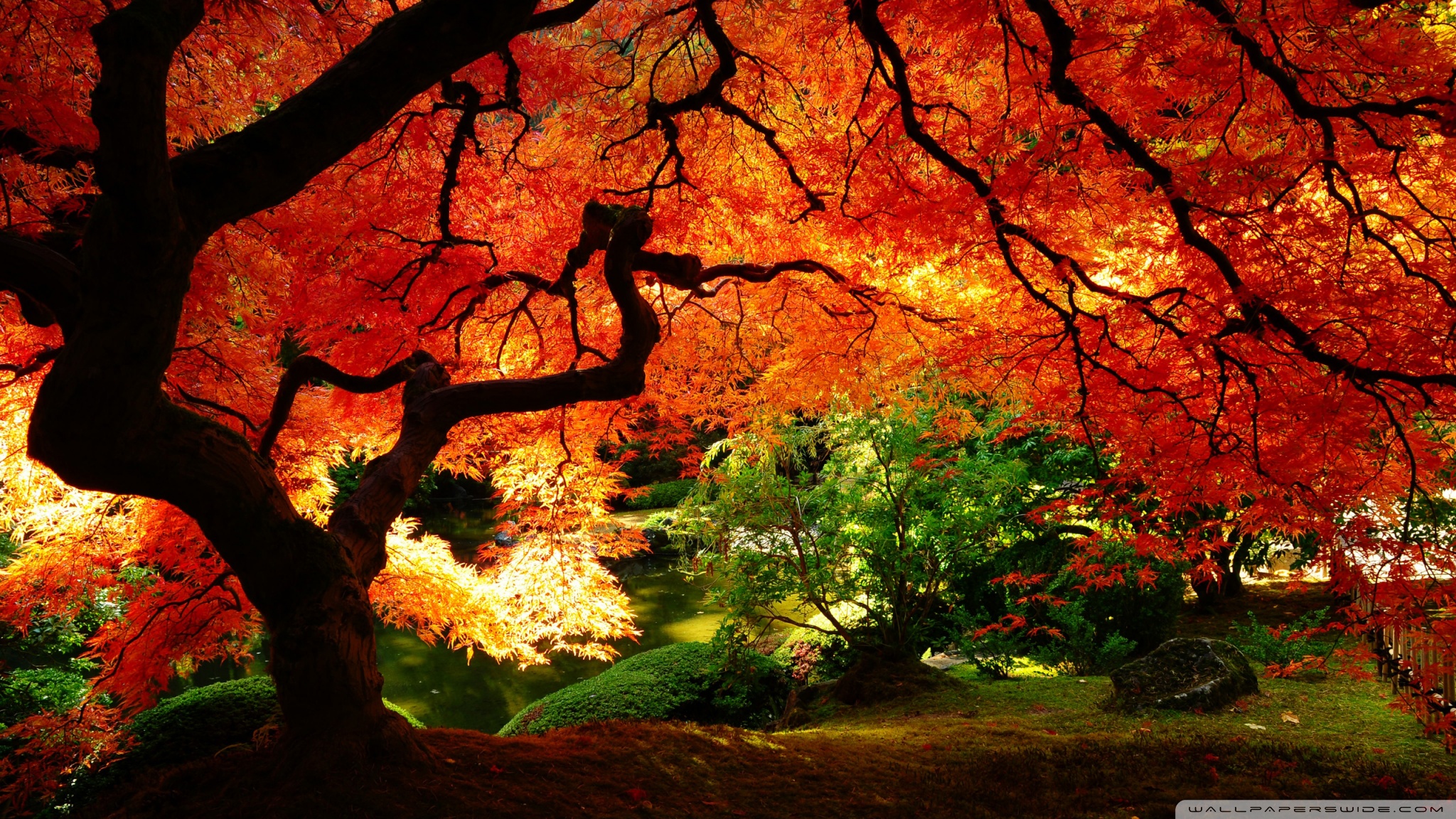 Beautiful Autumn 4k HD Desktop Wallpaper For Dual Monitor