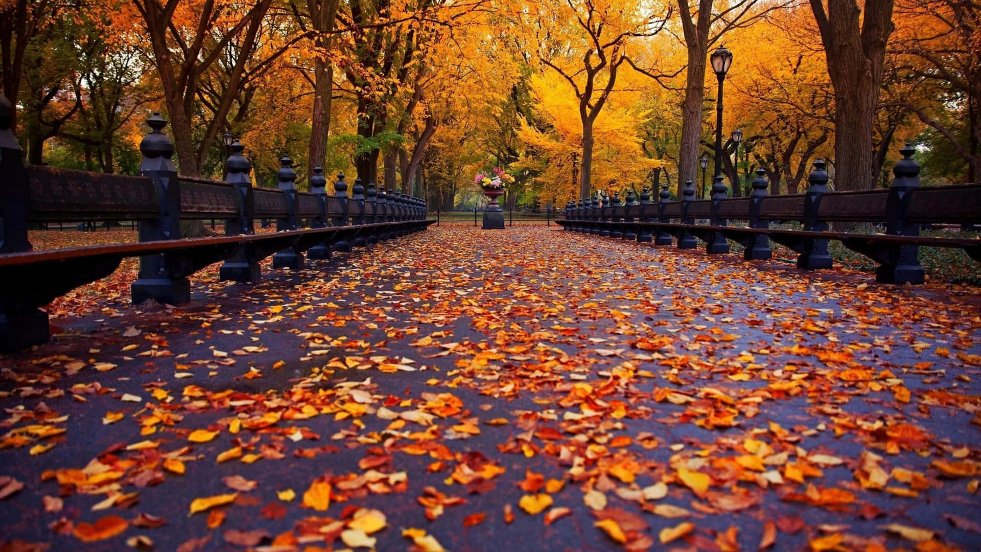Cute Autumn Wallpaper