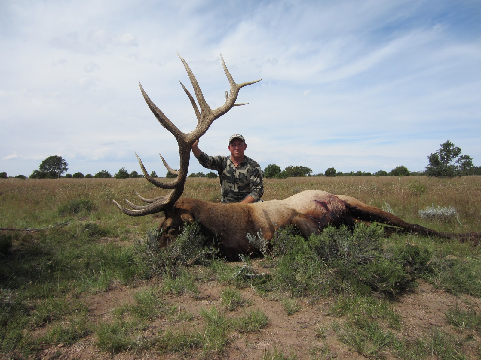 Elk Hunting Wallpaper Az Unit Archery