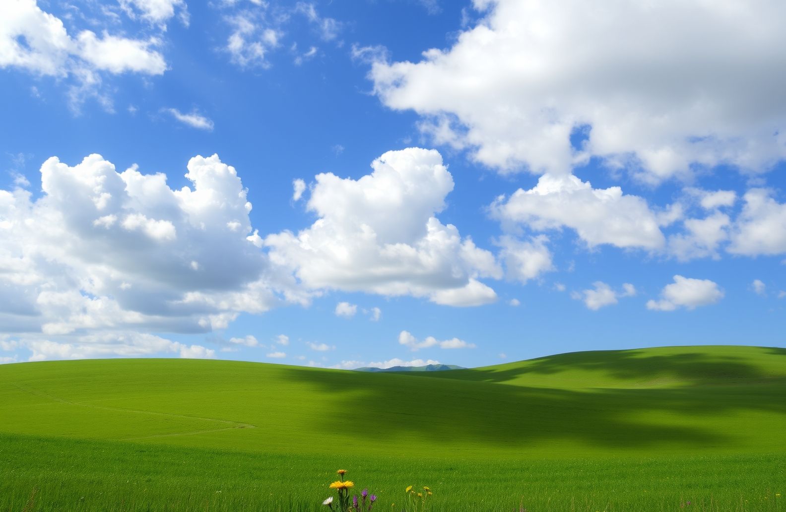 Windows Vista Wallpaper