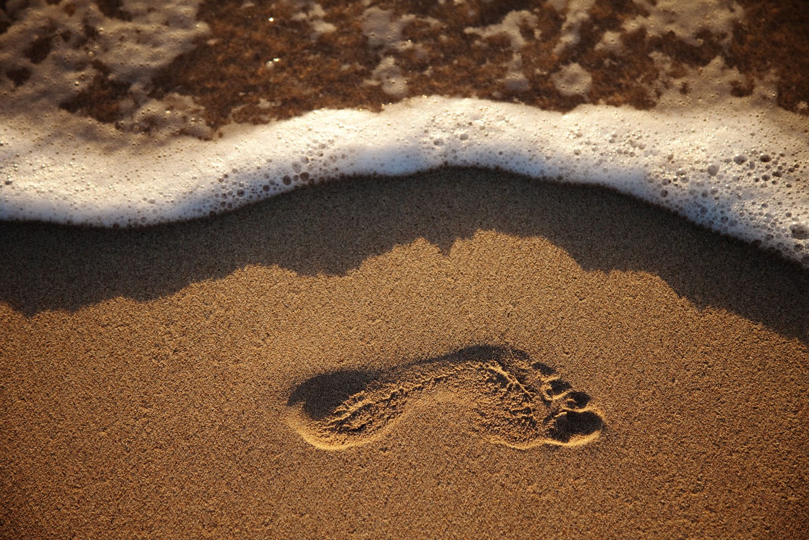 Journey Called Footprint